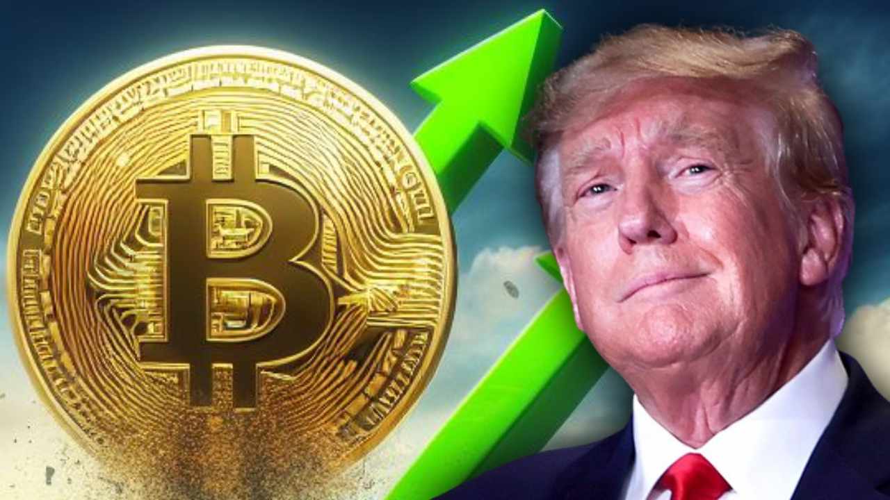 trump the defiant ones kripto