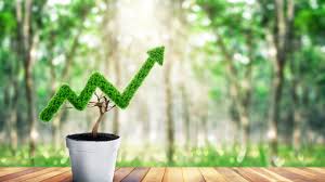 Green Marketing nedir, nasıl yapılır? 8 1 6