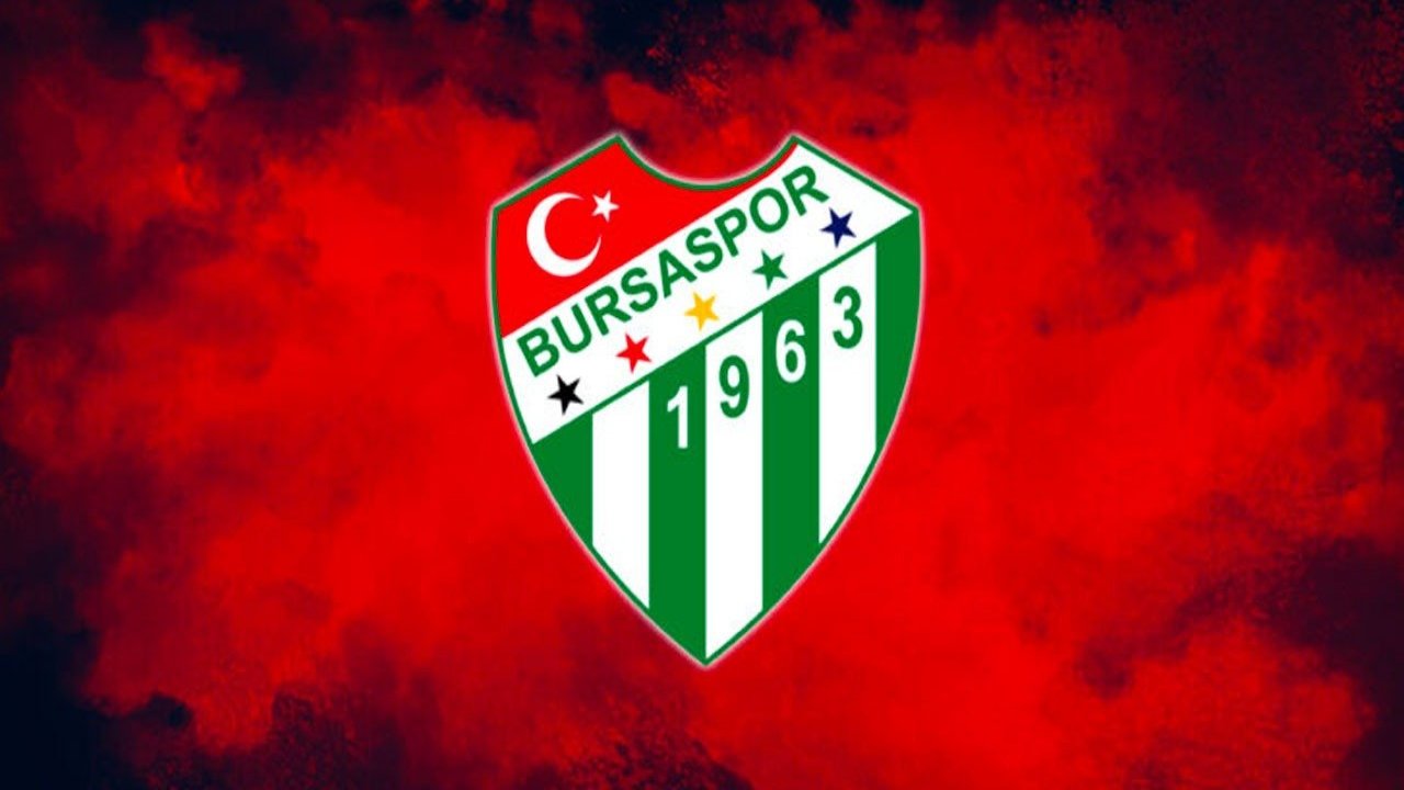Bursaspor'dan Japonya'ya Transfer 11 523861