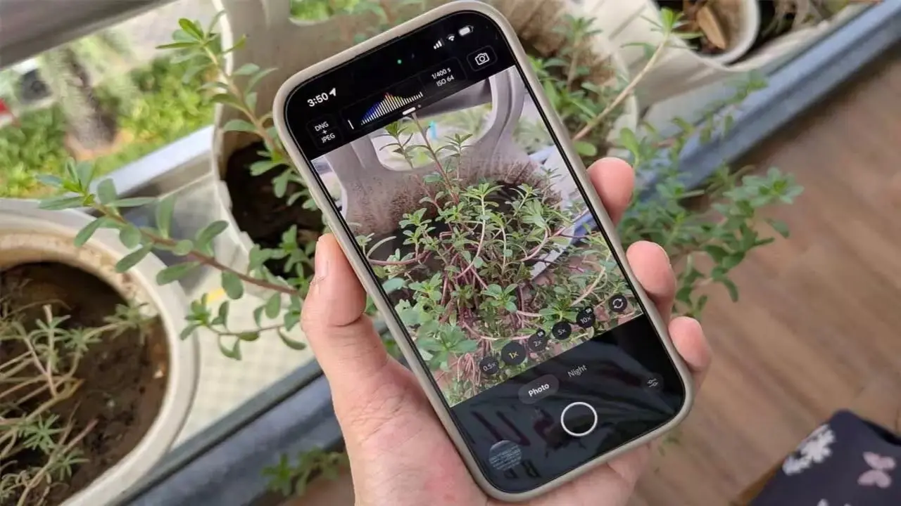 Adobe iPhone icin kamera uygula.webp