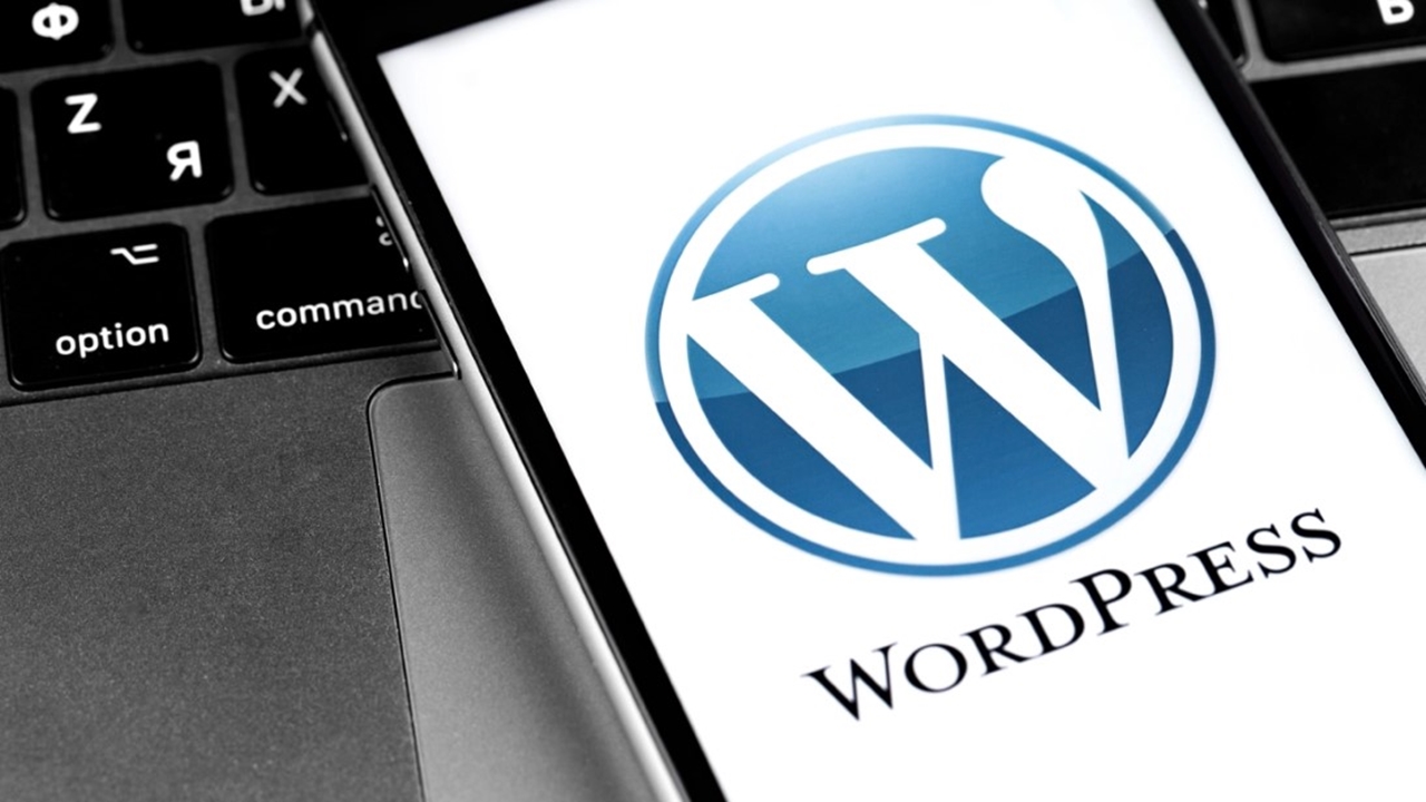 WordPress krizi büyüyor - ShiftDelete.Net 3 ios icin wordpress uygulamasi guncelleme alamiyor 1 1