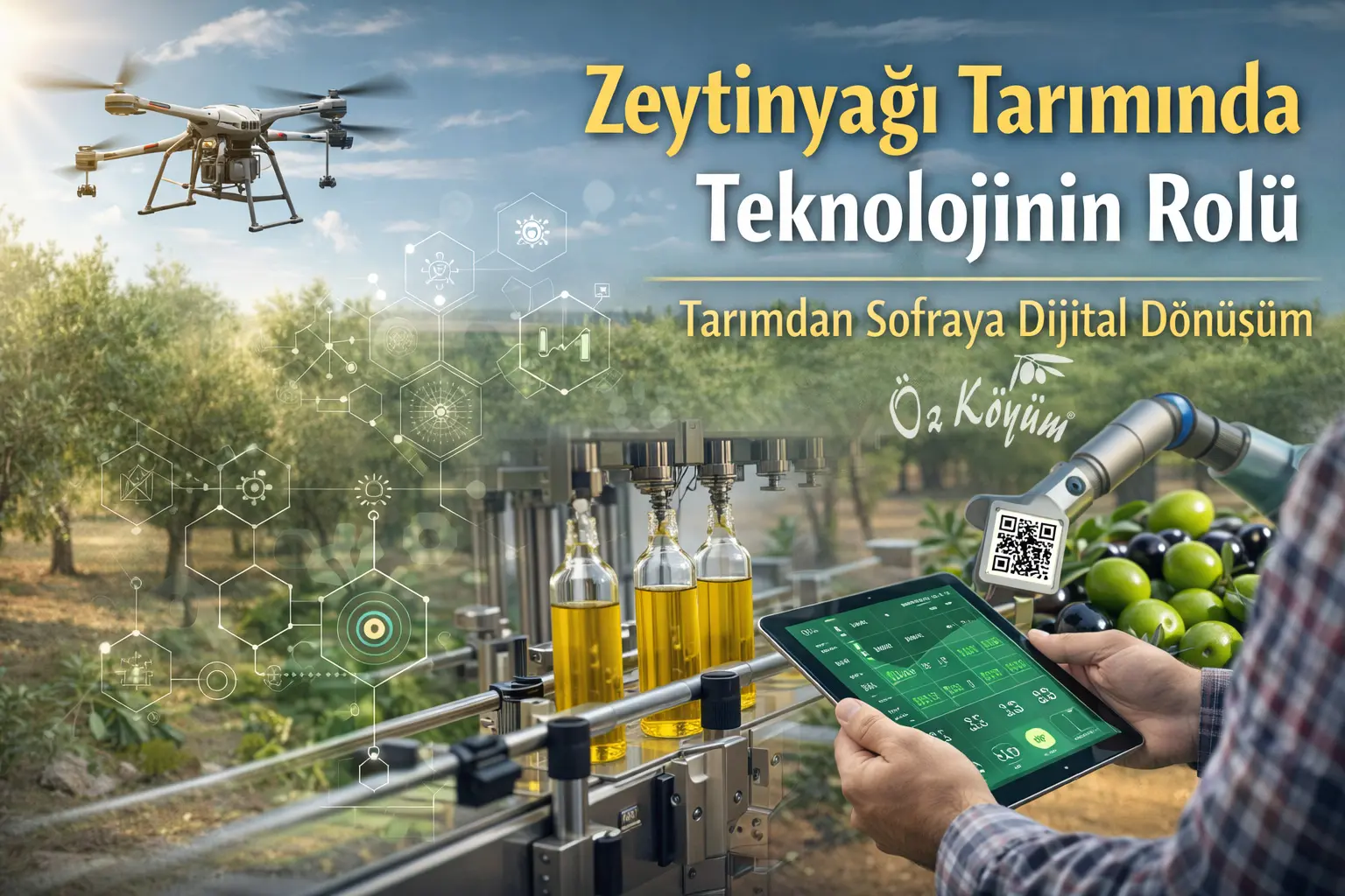 Zeytinyağında Dijital Dönüşüm: Tarımdan Sofraya Teknolojinin Rolü 3 ozkoyum gorsel.jpg.webp