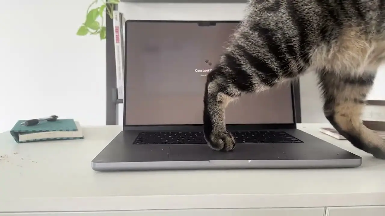 Kedi Sahibi Mac Kullanıcılarına İlaç Gibi Uygulama 10 Kedi Mac.webp