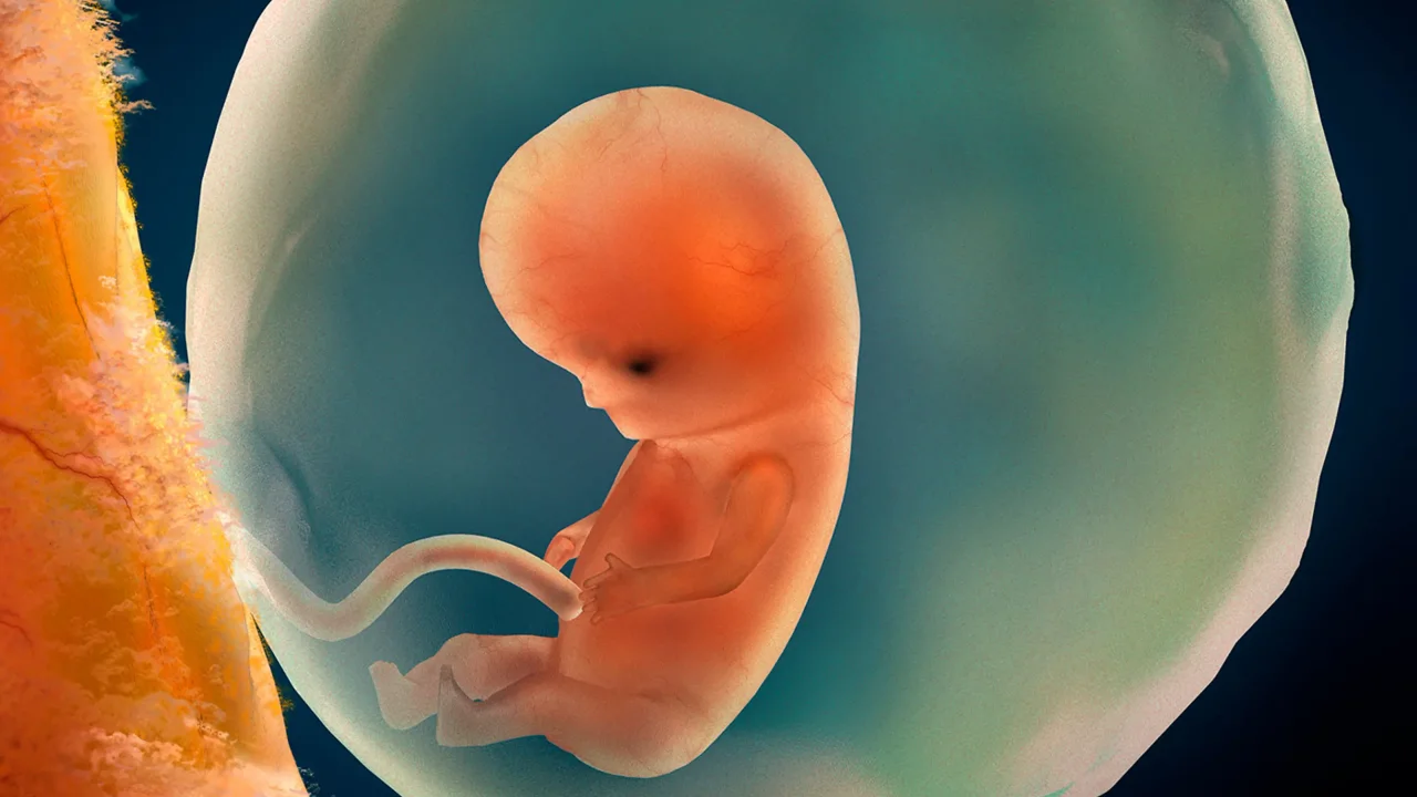 Çin Yapay İnsanları Uzaya Gönderdi: Uzayda Bebek Sahibi Olmak Mümkün mü? 5 cin yapay insanlari uzaya gonderdi uzayda bebek sahibi olmak mumkun mu.webp